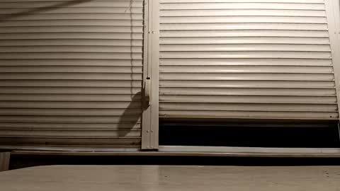 Snapshot of pamid215 chatting on December 2025 05:11:02 PM angel hris online show from December 2025 05:11:02 PM