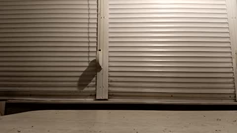 angel hris online show from February 2026 04:54:02 PM