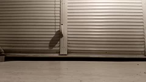 angel hris online show from February 2026 04:27:02 PM