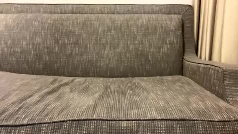 Snapshot of panther_style chatting on February 2025 02:57:02 AM Oleg online show from February 2025 02:57:02 AM