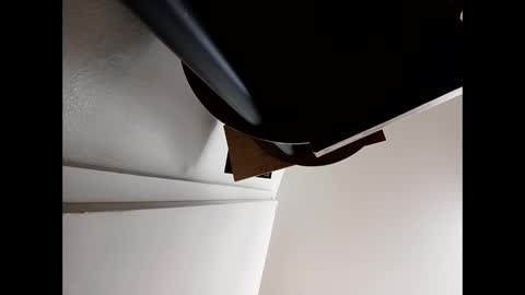 Snapshot of pantieplaytime52532 chatting on March 2026 07:56:01 AM pantieplaytime52532 online show from March 2026 07:56:01 AM