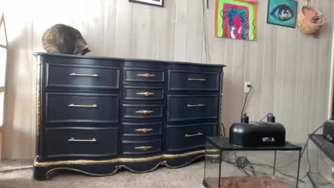 Pantiesofthefae online show from January 2025 05:27:01 PM