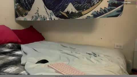 PantsLessTraveler online show from December 2025 06:24:02 PM