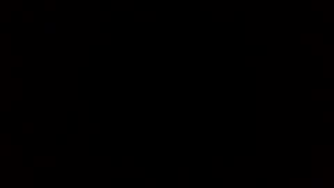 pantz online show from January 2025 11:33:01 AM