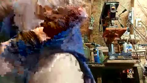 papajb70 online show from September 2025 02:22:01 AM