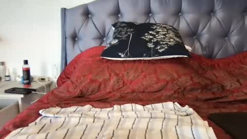 Paradise Bird01 online show from January 2025 07:49:01 PM