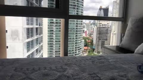 Paradise Bird01 online show from March 2026 05:30:01 PM