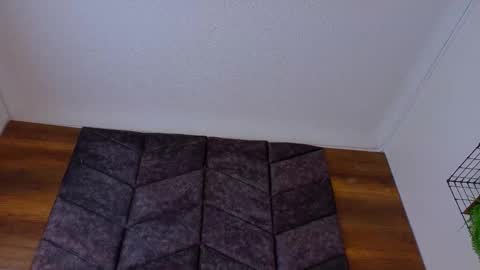 PARIS online show from February 2026 08:16:01 PM