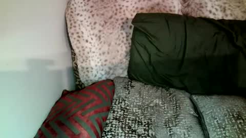 Snapshot of parlaytellio chatting on January 2025 12:34:02 AM Parlay Tellio online show from January 2025 12:34:02 AM