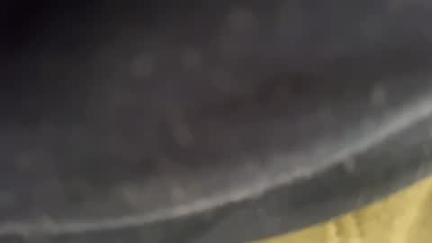 passaporter online show from February 2025 09:43:02 AM