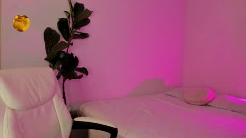    online show from March 2026 02:33:02 AM