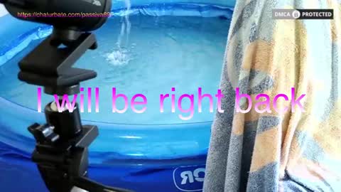 Snapshot of passiva697 chatting on February 2026 01:42:02 PM Dome Passiva697 online show from February 2026 01:42:02 PM