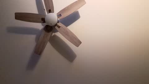 patrick247288 online show from September 2025 04:34:02 AM