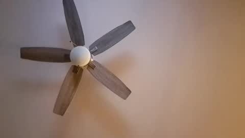 patrick247288 online show from November 2025 06:30:01 AM