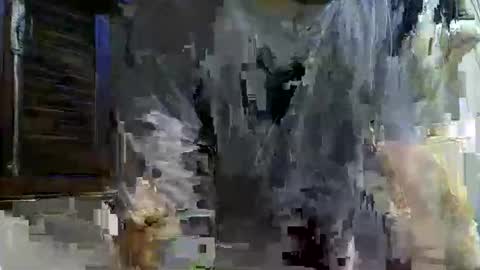 Snapshot of paugrosso202 chatting on November 2025 02:00:02 AM paugrosso202 online show from November 2025 02:00:02 AM