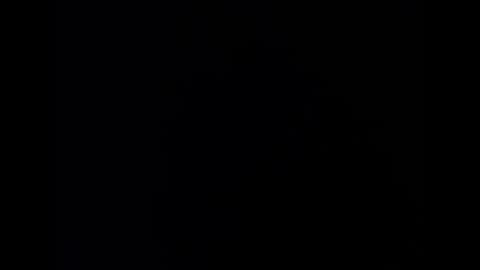 paula ross online show from May 2026 12:17:01 AM