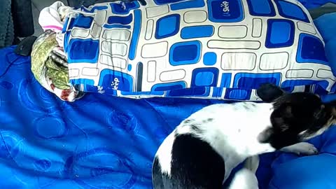 paula_willss online show from January 2025 12:35:02 PM