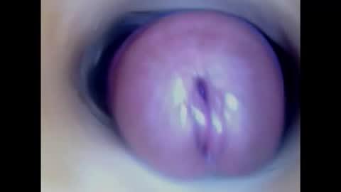 Paula 18 Aninhos online show from January 2025 01:51:02 AM