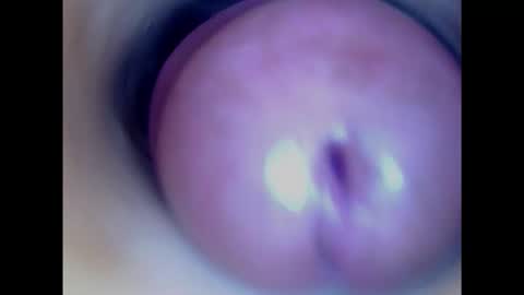 Paula 18 Aninhos online show from January 2025 02:51:01 AM