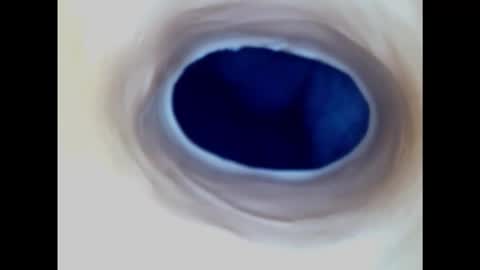 Paula 18 Aninhos online show from March 2025 02:19:02 AM