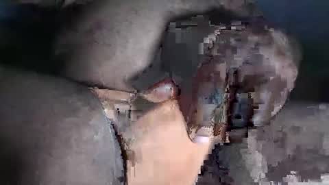 Snapshot of paulcockring chatting on November 2025 04:34:01 AM paulcockring online show from November 2025 04:34:01 AM