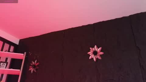 Paulo online show from February 2026 09:08:02 PM