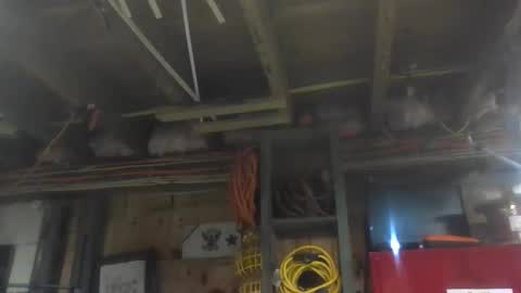 Snapshot of paulstetson chatting on December 2024 10:43:02 PM paulstetson online show from December 2024 10:43:02 PM