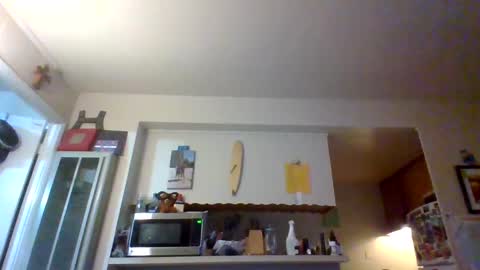 pawgkiller online show from October 2025 02:33:01 AM