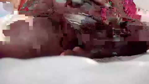 Coco channel  online show from December 2024 07:53:02 PM