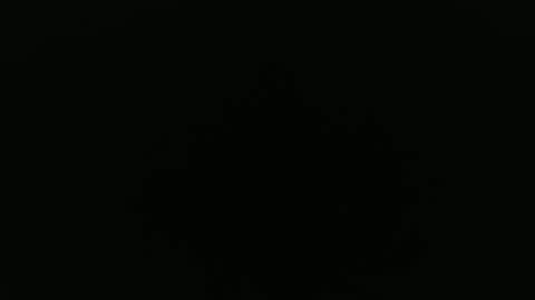 Alex online show from September 2025 08:28:02 AM