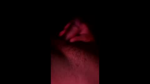 Snapshot of pedro_0305 chatting on May 2026 07:48:02 AM pedro_0305 online show from May 2026 07:48:02 AM