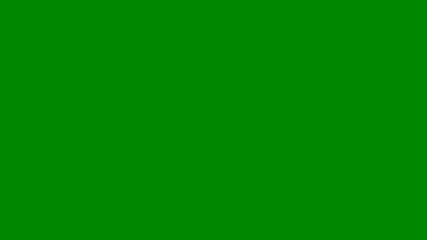 pedro________8 online show from March 2026 12:55:01 PM