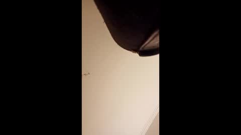 Snapshot of pelekenone chatting on April 2026 04:24:01 AM pelekenone online show from April 2026 04:24:01 AM