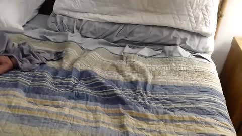 Snapshot of perdidobch chatting on December 2024 01:44:01 PM perdidobch online show from December 2024 01:44:01 PM