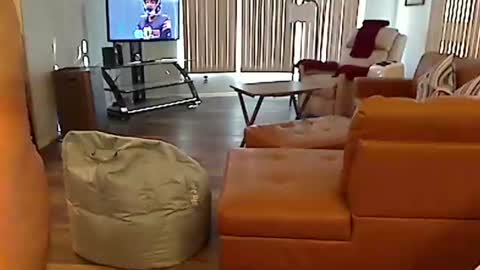 perfecto1957 online show from December 2024 08:03:02 PM