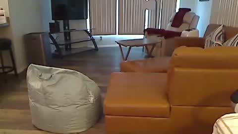 perfecto1957 online show from December 2024 03:58:01 PM