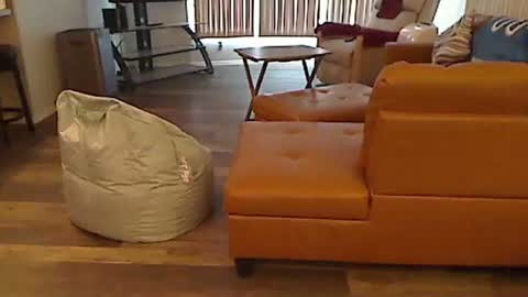 perfecto1957 online show from January 2025 04:48:02 PM