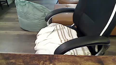 perfecto1957 online show from February 2025 04:45:02 PM