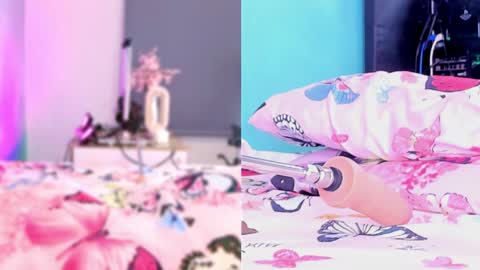 Snapshot of perla_cm chatting on April 2026 10:56:01 AM perla_cm online show from April 2026 10:56:01 AM