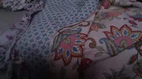 perun19855 online show from February 2026 11:36:01 PM