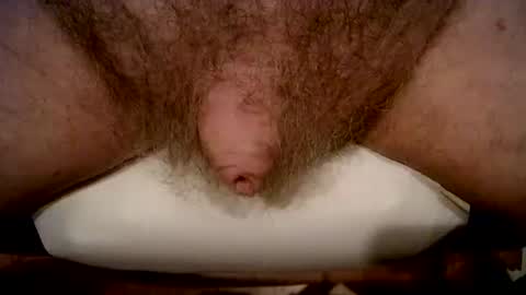 peterpeteropoulos online show from February 2026 05:03:02 PM