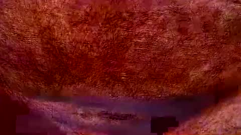 peterpeteropoulos online show from July 2026 07:05:02 PM