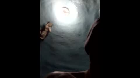 9072523824 online show from January 2025 04:46:02 PM