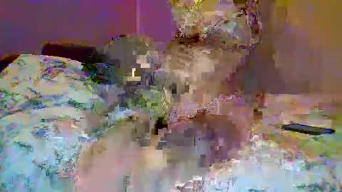 Snapshot of petite_baby23 chatting on May 2026 10:36:01 PM petite_baby23 online show from May 2026 10:36:01 PM