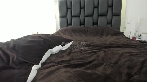 Snapshot of petitealejats chatting on December 2024 04:57:01 PM PetiteAlejaTs online show from December 2024 04:57:01 PM