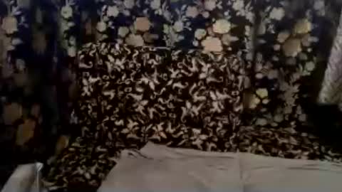 cute vir online show from July 2026 07:22:01 AM