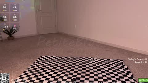 Snapshot of petitebrat chatting on November 2025 12:54:01 AM PiperAvery online show from November 2025 12:54:01 AM