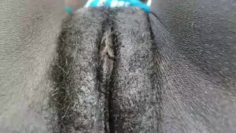 petiteme1 online show from January 2025 02:03:01 AM