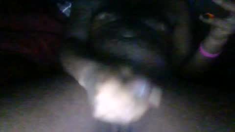 Phantomblaze online show from October 2025 05:04:02 AM