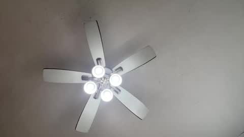 phantomx6xx online show from February 2025 05:57:02 PM